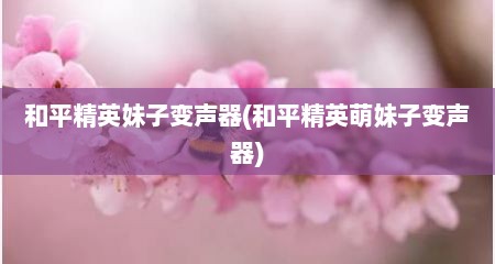 和平精英妹子变声器(和平精英萌妹子变声器)