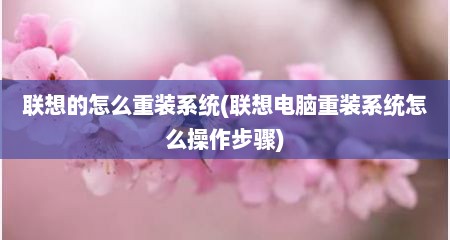 联想的怎么重装系统(联想电脑重装系统怎么操作步骤)