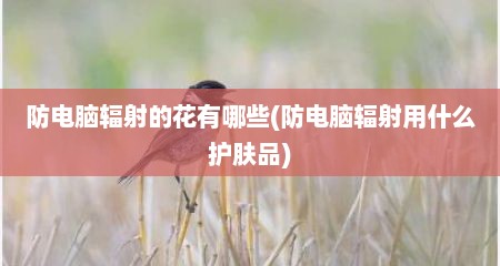 防电脑辐射的花有哪些(防电脑辐射用什么护肤品)