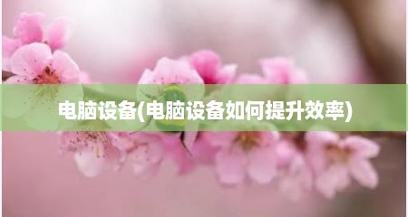 电脑设备(电脑设备如何提升效率)