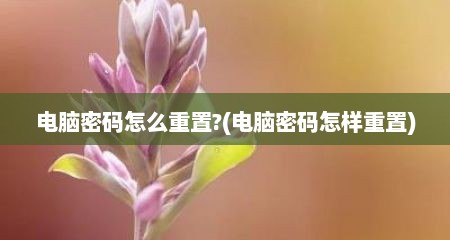 电脑密码怎么重置?(电脑密码怎样重置)