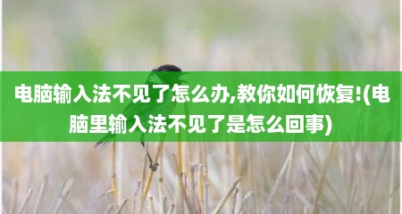 电脑输入法不见了怎么办,教你如何恢复!(电脑里输入法不见了是怎么回事)