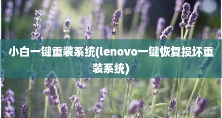 小白一键重装系统(lenovo一键恢复损坏重装系统)