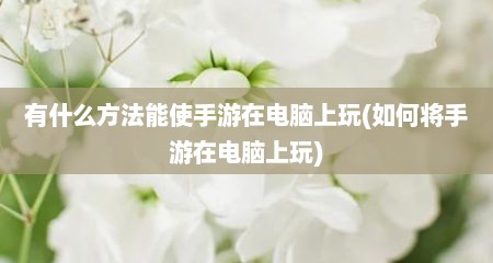 有什么方法能使手游在电脑上玩(如何将手游在电脑上玩)