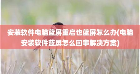 安装软件电脑蓝屏重启也蓝屏怎么办(电脑安装软件蓝屏怎么回事解决方案)