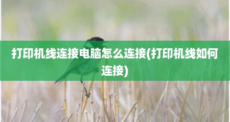 打印机线连接电脑怎么连接(打印机线如何连接)