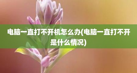 电脑一直打不开机怎么办(电脑一直打不开是什么情况)