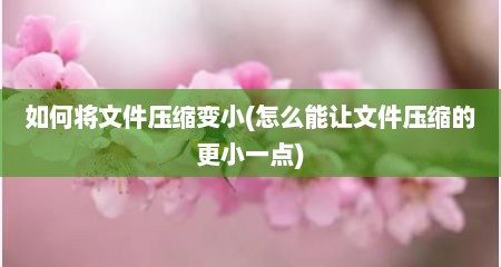 如何将文件压缩变小(怎么能让文件压缩的更小一点)