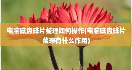 电脑磁盘碎片整理如何操作(电脑磁盘碎片整理有什么作用)