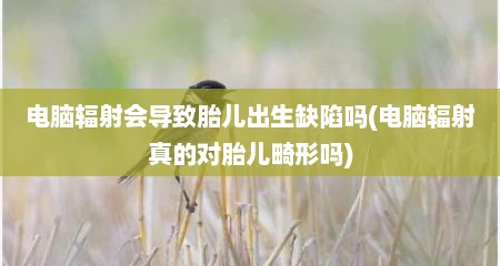 电脑辐射会导致胎儿出生缺陷吗(电脑辐射真的对胎儿畸形吗)