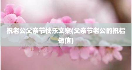 祝老公父亲节快乐文案(父亲节老公的祝福短信)