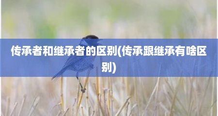 传承者和继承者的区别(传承跟继承有啥区别)