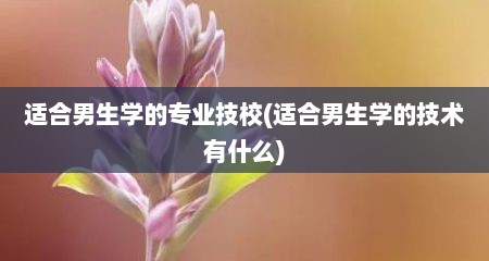 适合男生学的专业技校(适合男生学的技术有什么)