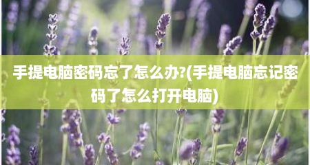 手提电脑密码忘了怎么办?(手提电脑忘记密码了怎么打开电脑)