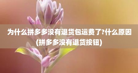 为什么拼多多没有退货包运费了?什么原因(拼多多没有退货按钮)