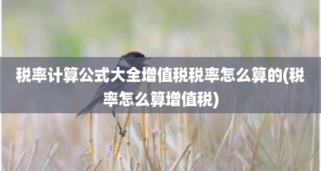 税率计算公式大全增值税税率怎么算的(税率怎么算增值税)