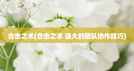 合击之术(合击之术 强大的团队协作技巧)