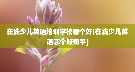 在线少儿英语培训学校哪个好(在线少儿英语哪个好知乎)