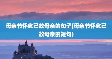 母亲节怀念已故母亲的句子(母亲节怀念已故母亲的短句)