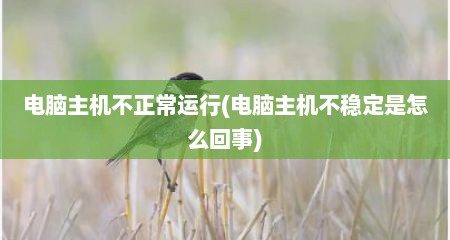 电脑主机不正常运行(电脑主机不稳定是怎么回事)