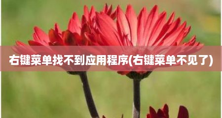 右键菜单找不到应用程序(右键菜单不见了)