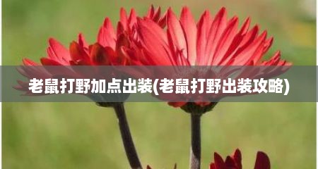 老鼠打野加点出装(老鼠打野出装攻略)