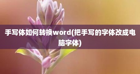 手写体如何转换word(把手写的字体改成电脑字体)