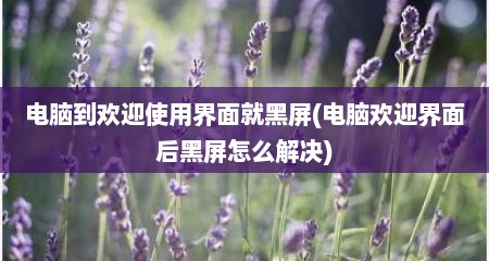 电脑到欢迎使用界面就黑屏(电脑欢迎界面后黑屏怎么解决)