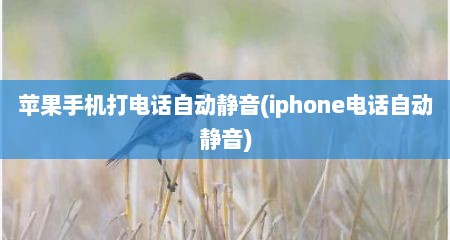 苹果手机打电话自动静音(iphone电话自动静音)