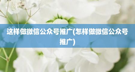 这样做微信公众号推广(怎样做微信公众号推广)