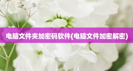 电脑文件夹加密码软件(电脑文件加密解密)