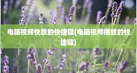 电脑视频快放的快捷键(电脑视频播放的快捷键)