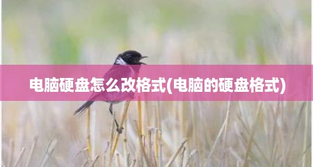 电脑硬盘怎么改格式(电脑的硬盘格式)