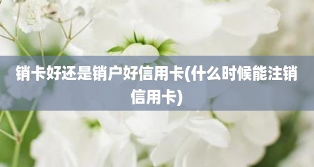 销卡好还是销户好信用卡(什么时候能注销信用卡)