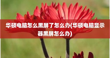 华硕电脑怎么黑屏了怎么办(华硕电脑显示器黑屏怎么办)