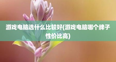 游戏电脑选什么比较好(游戏电脑哪个牌子性价比高)