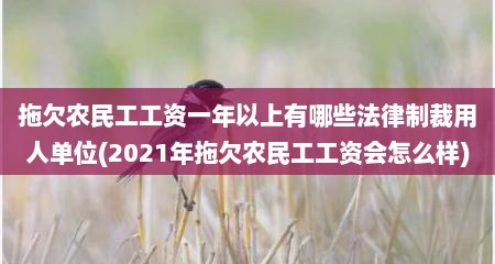 拖欠农民工工资一年以上有哪些法律制裁用人单位(2021年拖欠农民工工资会怎么样)