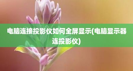 电脑连接投影仪如何全屏显示(电脑显示器连投影仪)