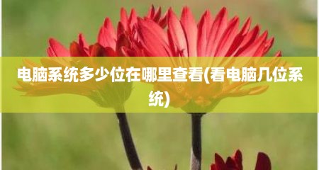 电脑系统多少位在哪里查看(看电脑几位系统)