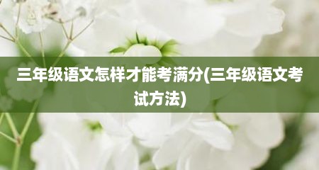 三年级语文怎样才能考满分(三年级语文考试方法)