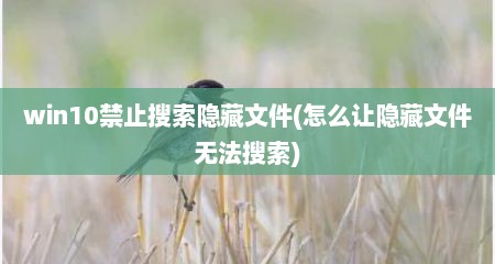 win10禁止搜索隐藏文件(怎么让隐藏文件无法搜索)