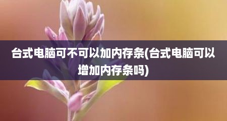 台式电脑可不可以加内存条(台式电脑可以增加内存条吗)