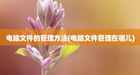 电脑文件的管理方法(电脑文件管理在哪儿)