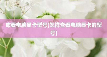 咋看电脑显卡型号(怎样查看电脑显卡的型号)