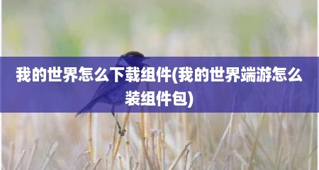 我的世界怎么下载组件(我的世界端游怎么装组件包)