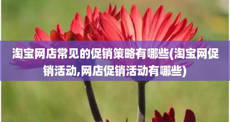 淘宝网店常见的促销策略有哪些(淘宝网促销活动,网店促销活动有哪些)