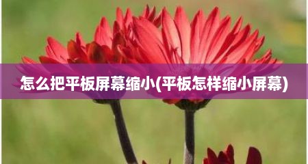 怎么把平板屏幕缩小(平板怎样缩小屏幕)