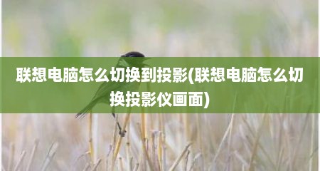 联想电脑怎么切换到投影(联想电脑怎么切换投影仪画面)