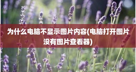 为什么电脑不显示图片内容(电脑打开图片没有图片查看器)