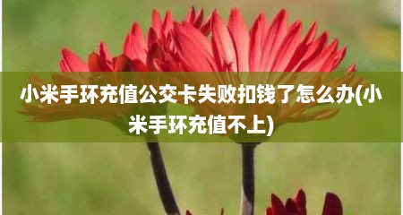 小米手环充值公交卡失败扣钱了怎么办(小米手环充值不上)